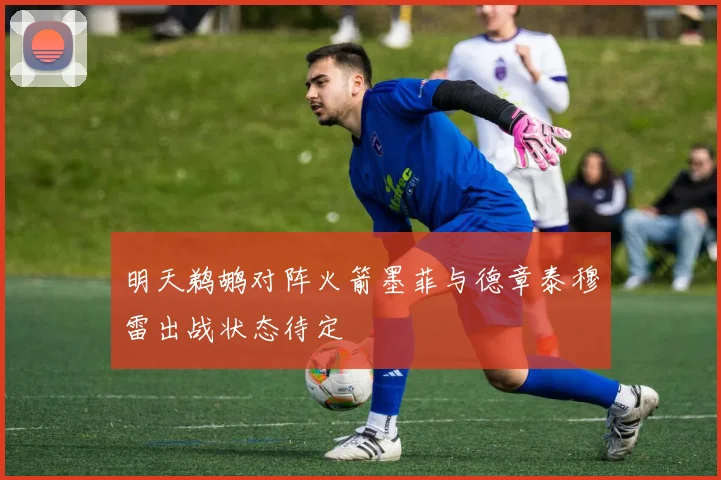 明天鹈鹕对阵火箭墨菲与德章泰穆雷出战状态待定